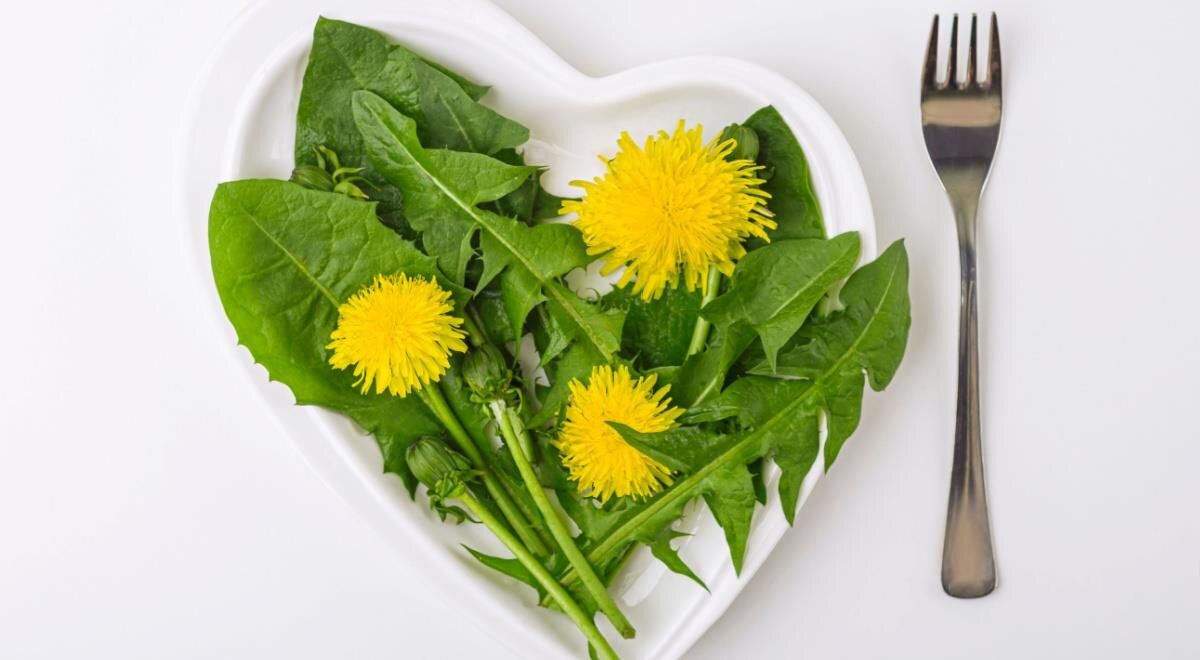 ������ ������� ��� �������� ����: ��� ������� ������������ ������� �� ����� ��������