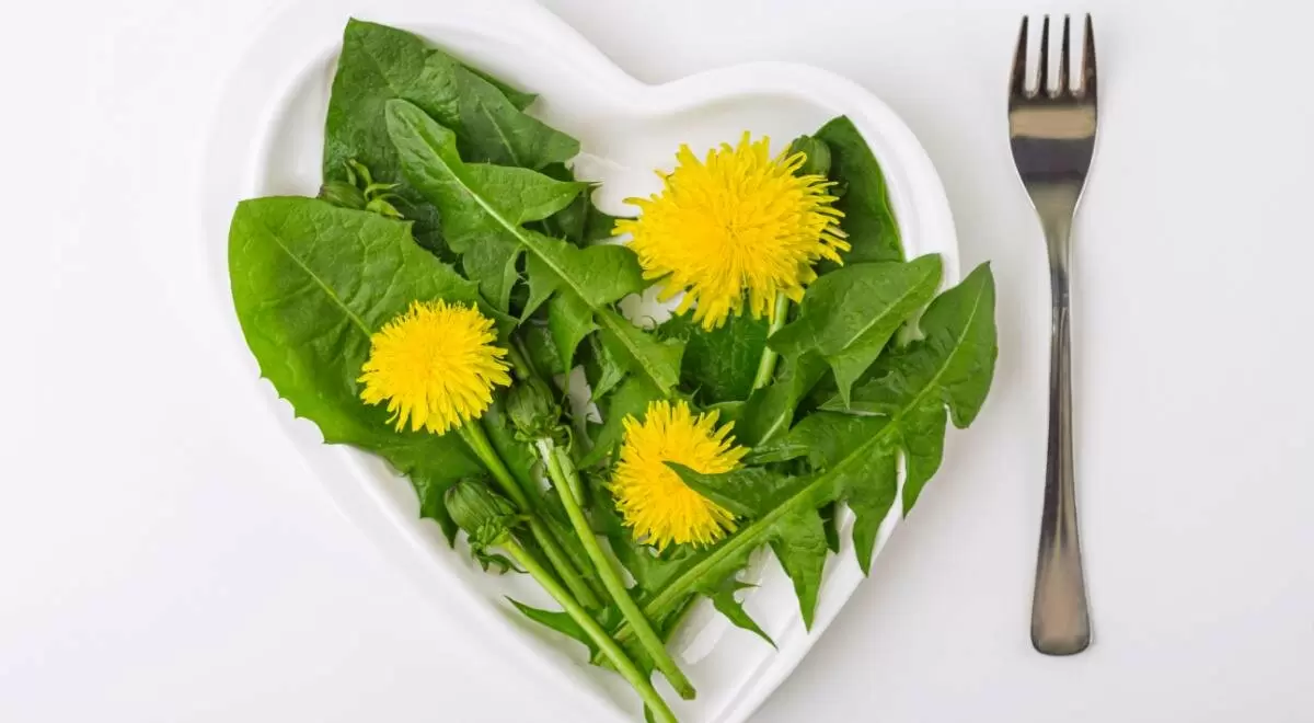 Тайные рецепты для снижения веса: Как бабушки использовали природу на благо здоровья