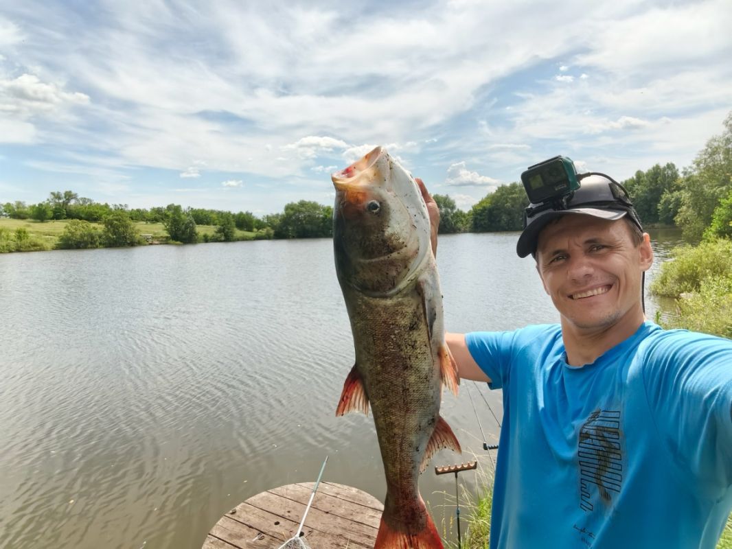 ����������� ������� �� ������������