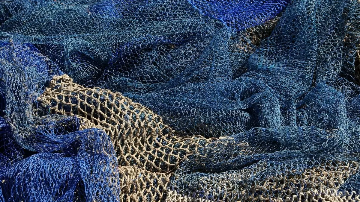 Поставки минтая в России достигли исторического рекорда