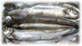 Как правильно и вкусно засолить мойву: подробное руководство