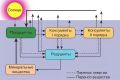 Цепи питания: как организмы взаимодействуют и передают энергию в экосистемах