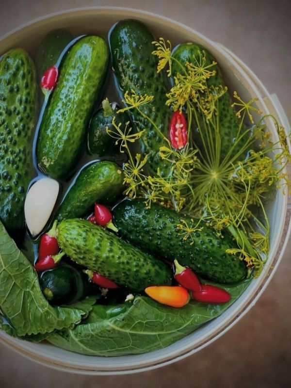 Маринованные огурцы: вкус детства
